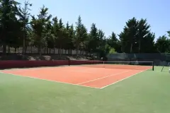 image-slider-with-thumbnail7.jpeg