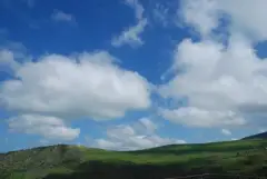image-slider-with-thumbnail7.jpeg